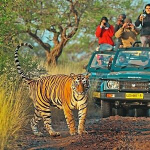 4-Day Golden Triangle & Ranthambore Tiger Safari Luxury Tour from Delhi